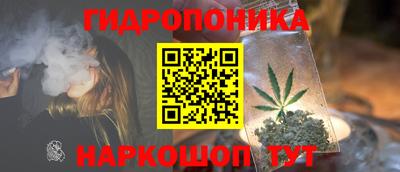 индика Азнакаево