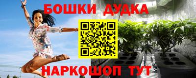 индика Азнакаево