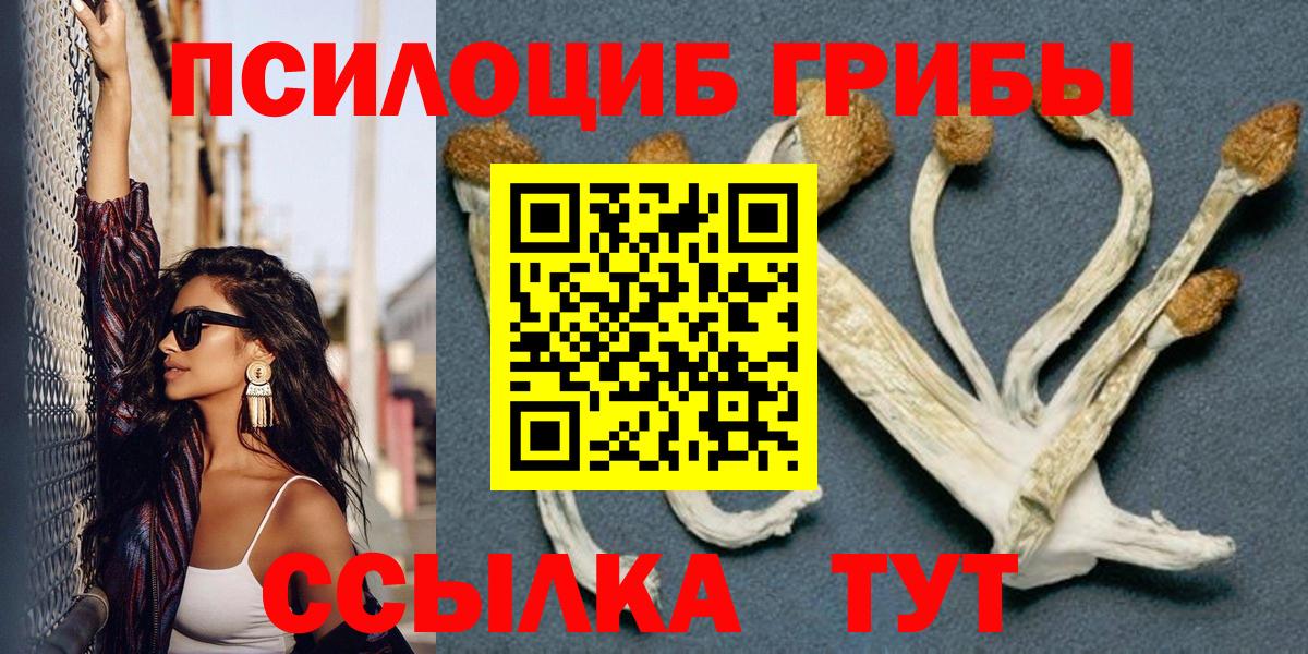 Псилоцибиновые грибы Psilocybine cubensis Алушта