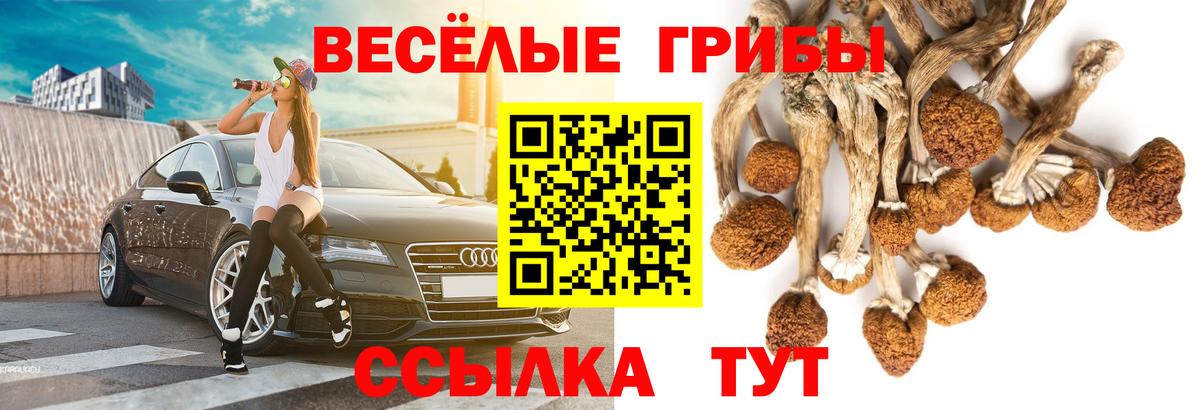 Алушта  Псилоцибиновые грибы мухоморы  Вход с VPN 